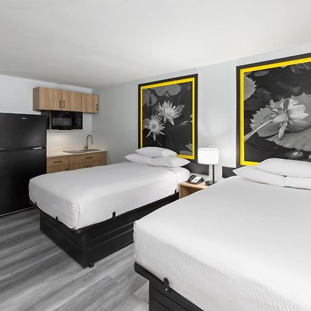 Готель Super 8 By Wyndham Alexandria La Екстер'єр фото